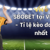 SBOBET tại VN6 APP – Tỉ lệ kèo đa dạng nhất